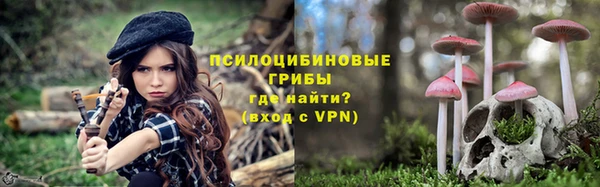 индика Сосновоборск