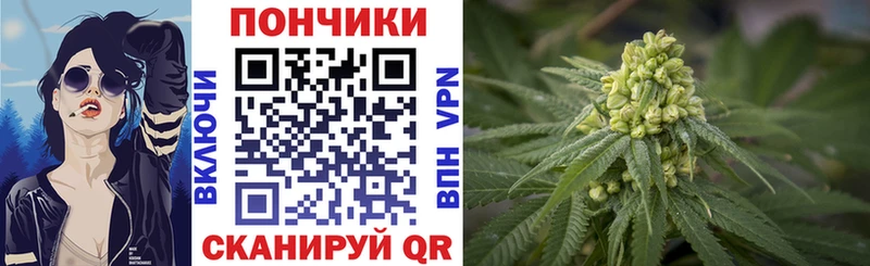 где купить наркотик  Никольск  Марихуана план 